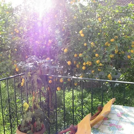 Rafaela House Daire Milina Oda fotoğraf