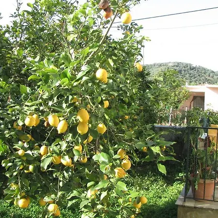 Rafaela House Daire Milina Oda fotoğraf